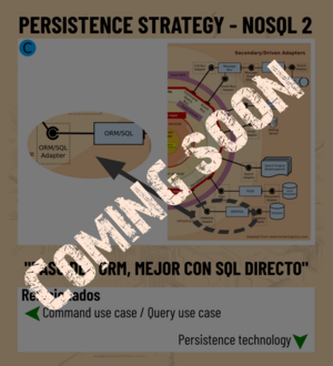 Persistence strategy NoSQL